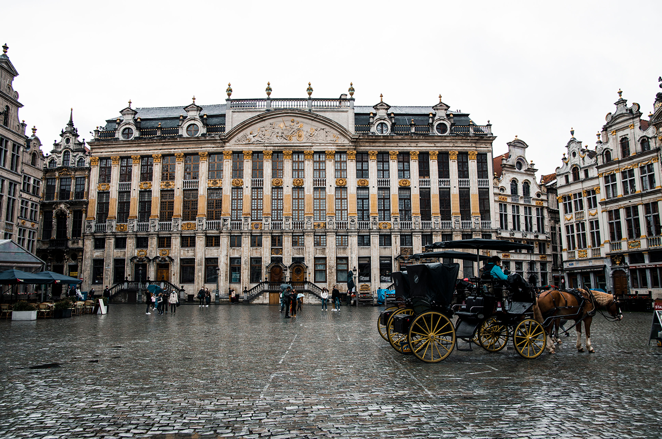 Que voir à Bruxelles le _temps d'une journée ?_A PAS DE DINO_La Grand Place