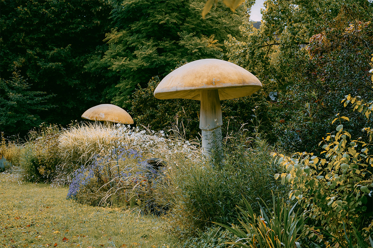 Que faire à Amiens, la petite venise du nord ?_Le jardin des Plantes 1