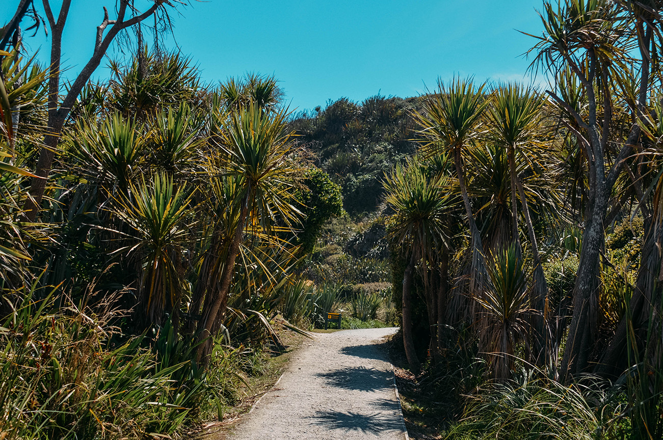 La Nouvelle-Zélande en deux semaines : les essentiels_cap foulwind_A PAS DE DINO