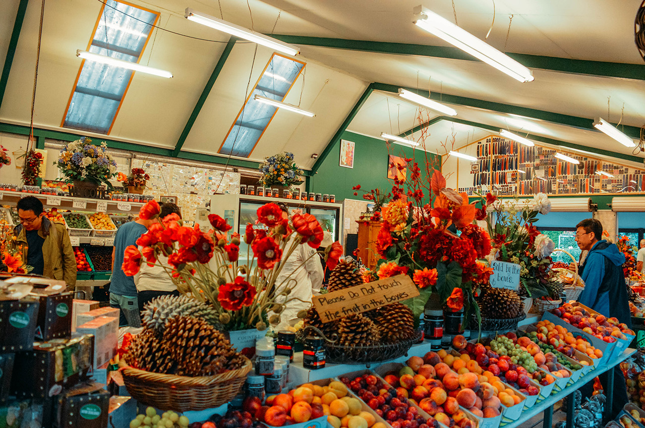 La Nouvelle-Zélande en deux semaines : les essentiels_Sur la route depuis Arrotown_ A PAS DE DINO