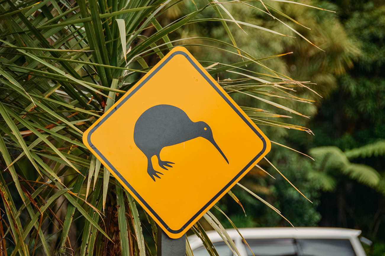 La Nouvelle-Zélande en deux semaines : les essentiels_Wai-O-Tapu_A PAS DE DINO