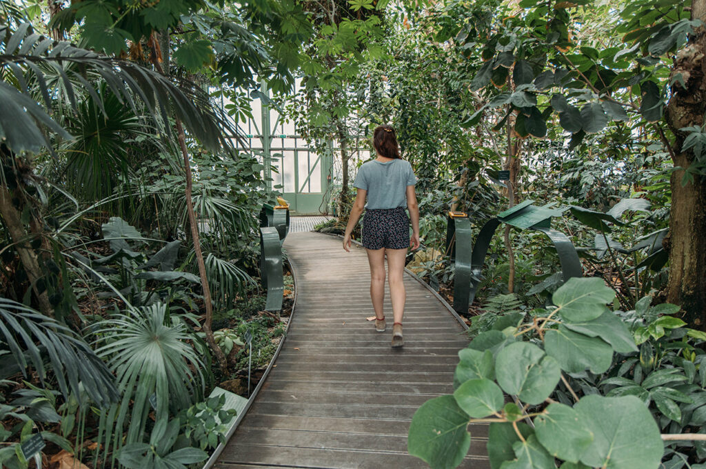 JARDIN DES PLANTES - GRANDES SERRES 2