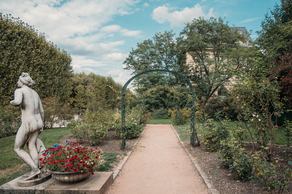 JARDIN DES PLANTES - JARDIN 2