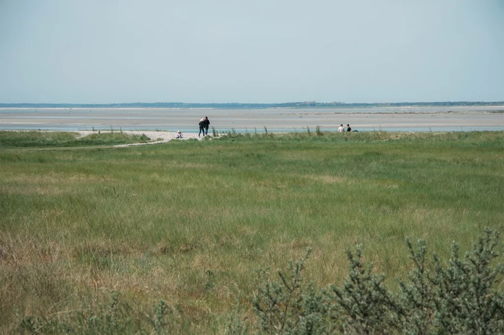 BAIE DE SOMME_St valéry sur somme 3