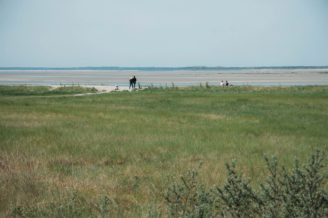 Mon top 10 pour un week-end prolongé en Baie de Somme​_BAIE DE SOMME_St valéry sur somme 3