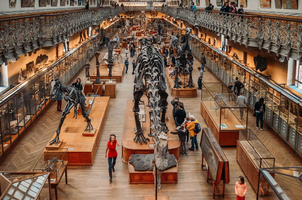 JARDIN DES PLANTES - GALERIE PALEONTHOLOGIE