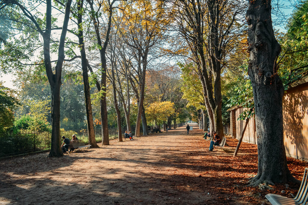 JARDIN DES PLANTES - ALLEE