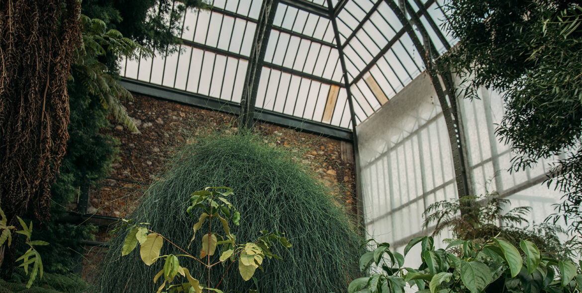 Le Quartier du Jardin-des-Plantes