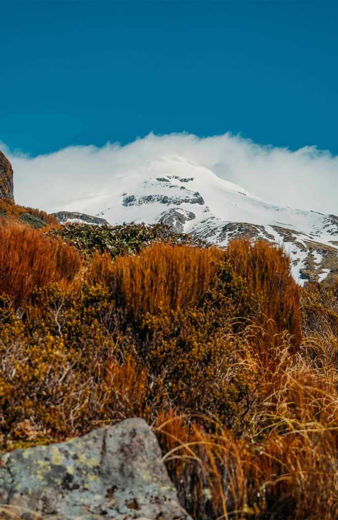 Trek au Mont Taranaki La pointe qu'il ne fallait pas franchir