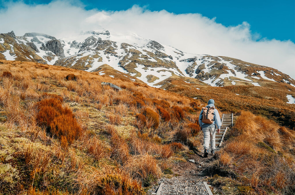 MONT TARANAKI 2