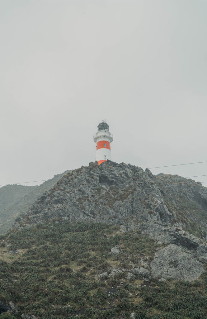 Le phare de Cape Palliser et sa colonie d'otaries 1