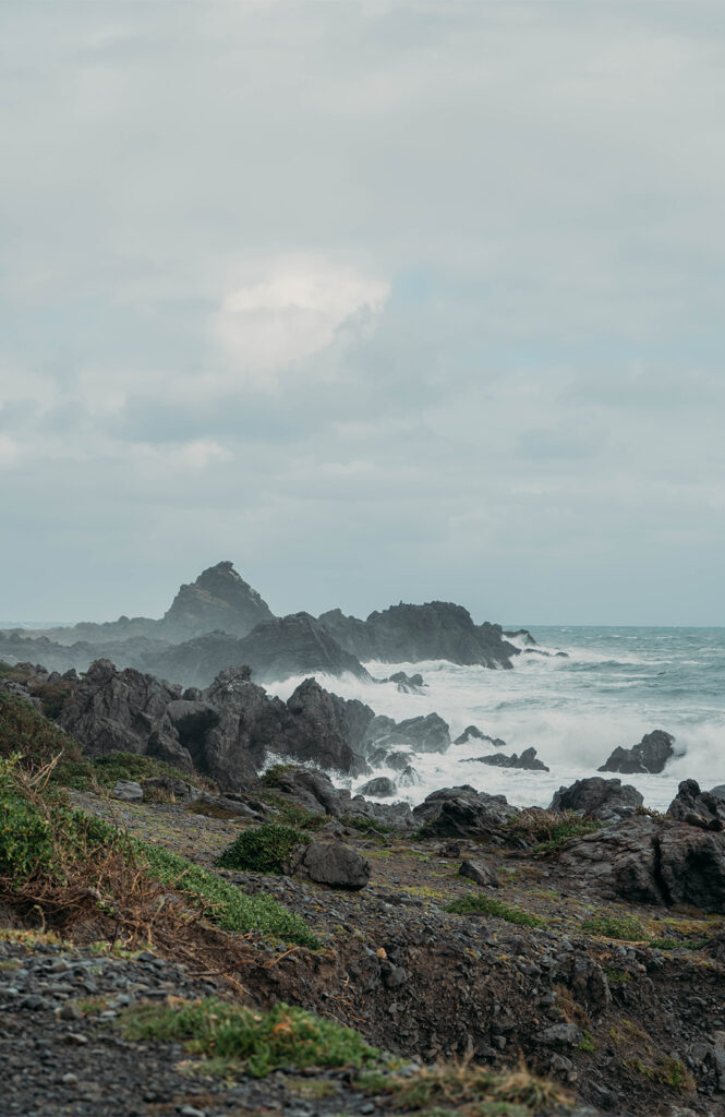 Le phare de Cape Palliser et sa colonie d'otaries