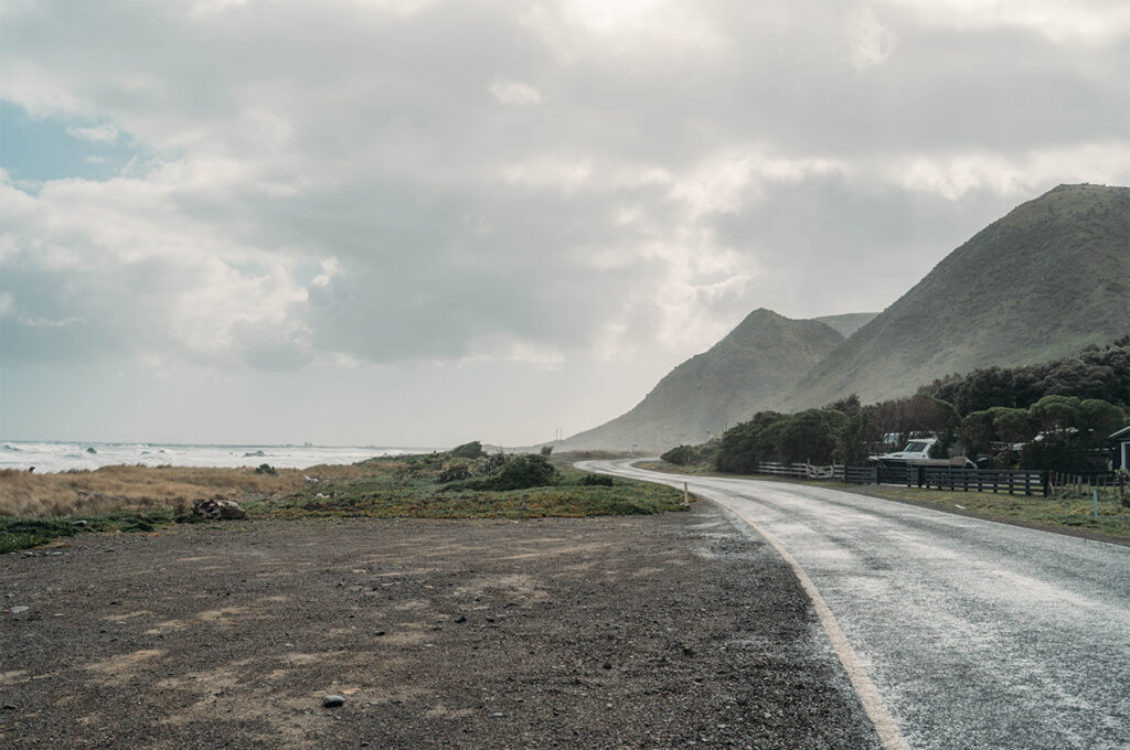 Le phare de Cape Palliser et sa colonie d'otaries 4