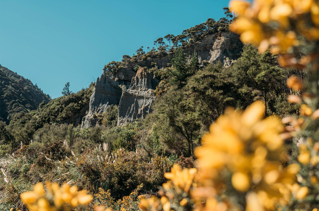 Retour aux Putangirua Pinnacles, zéro regret !