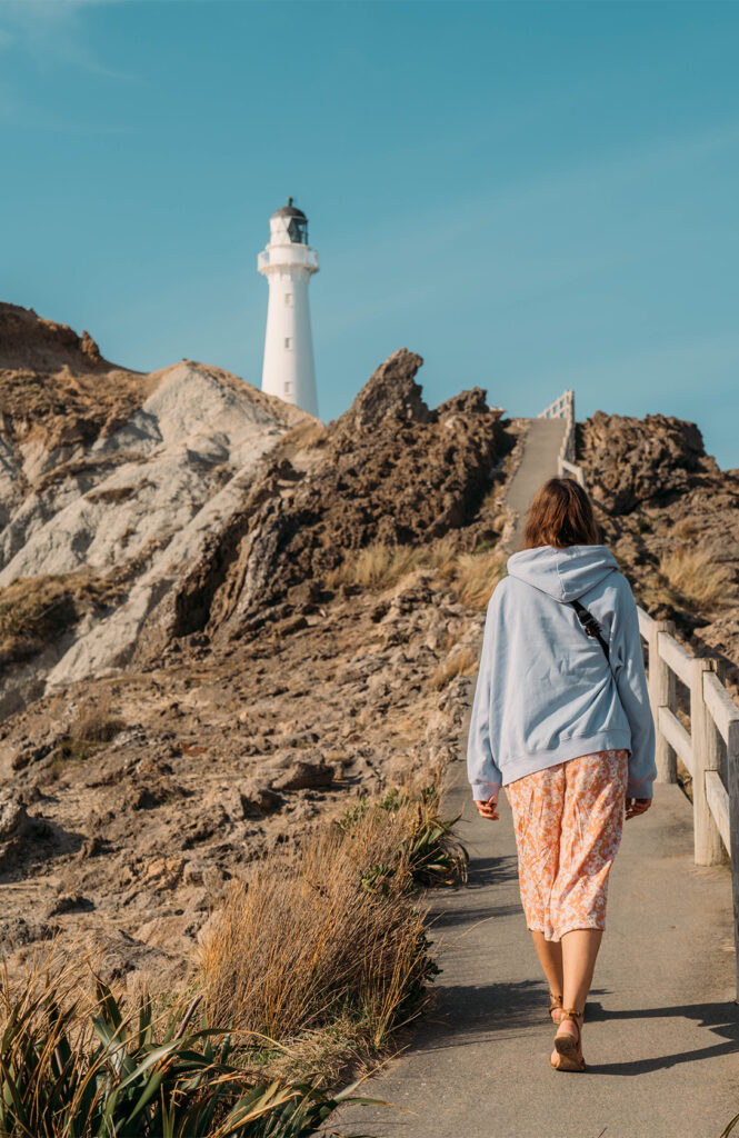 Castlepoint : 1h de route pour rejoindre ce "petit" phare