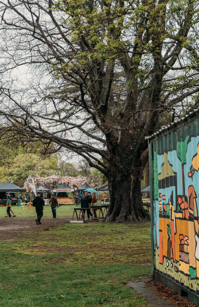 Hawke's Bay Farmers' Market : un marché sous la pluie 3