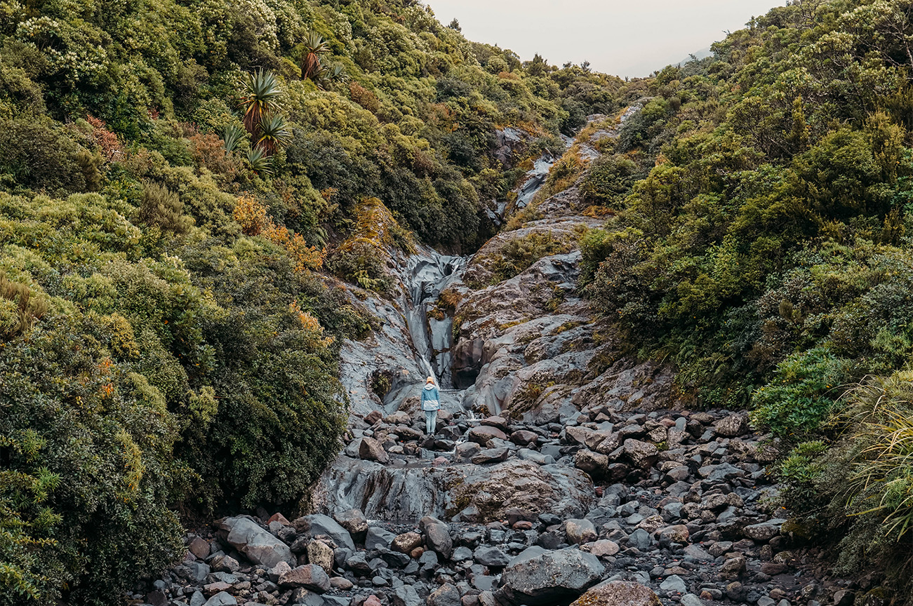 QUE FAIRE DANS LE DISTRICT DE TARANAKI_APAS DE DINO_Wilkie Pools