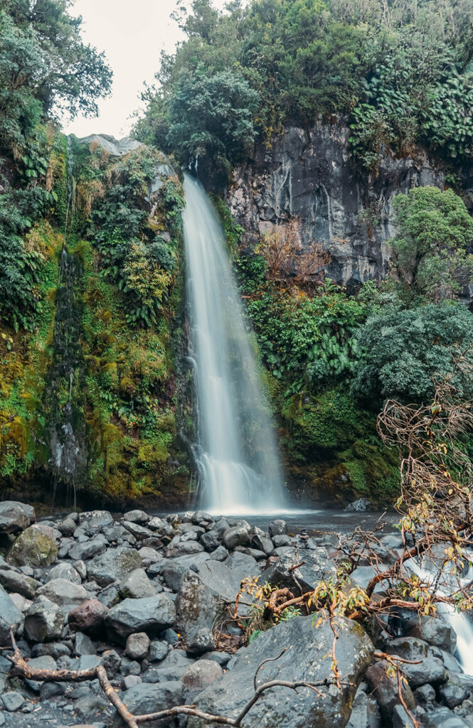 Dawson Falls 2