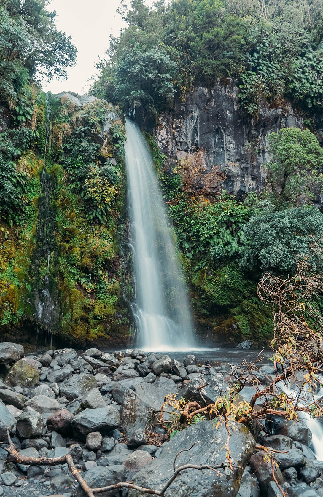 UE FAIRE DANS LE DISTRICT DE TARANAKI_APAS DE DINO_Dawson Falls 2