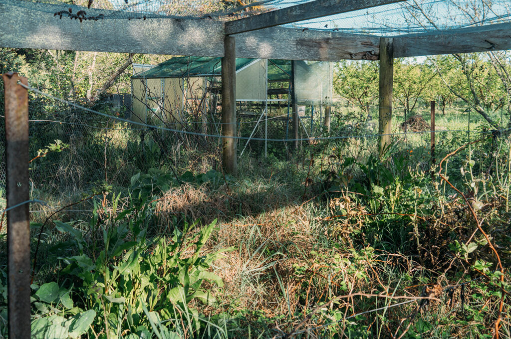 Le travail dans les jardins et les "à côtés"