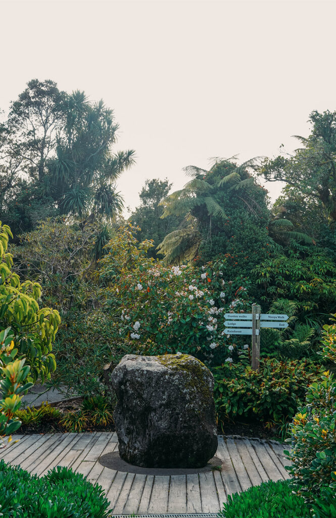 Les jolis jardins de Pukeiti 1