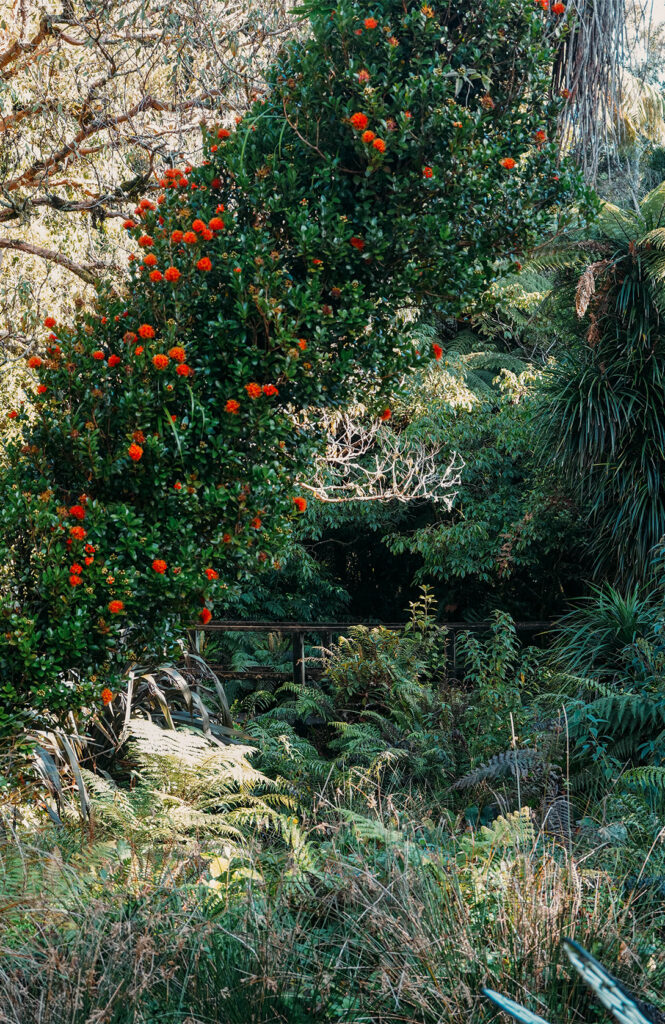 Les jolis jardins de Pukeiti 3