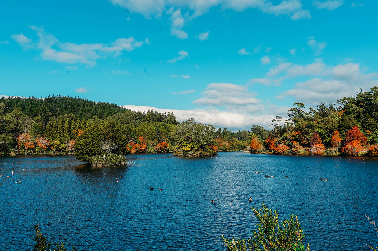 QUE FAIRE DANS LE DISTRICT DE TARANAKI_APAS DE DINO_Lac Mangamahoe