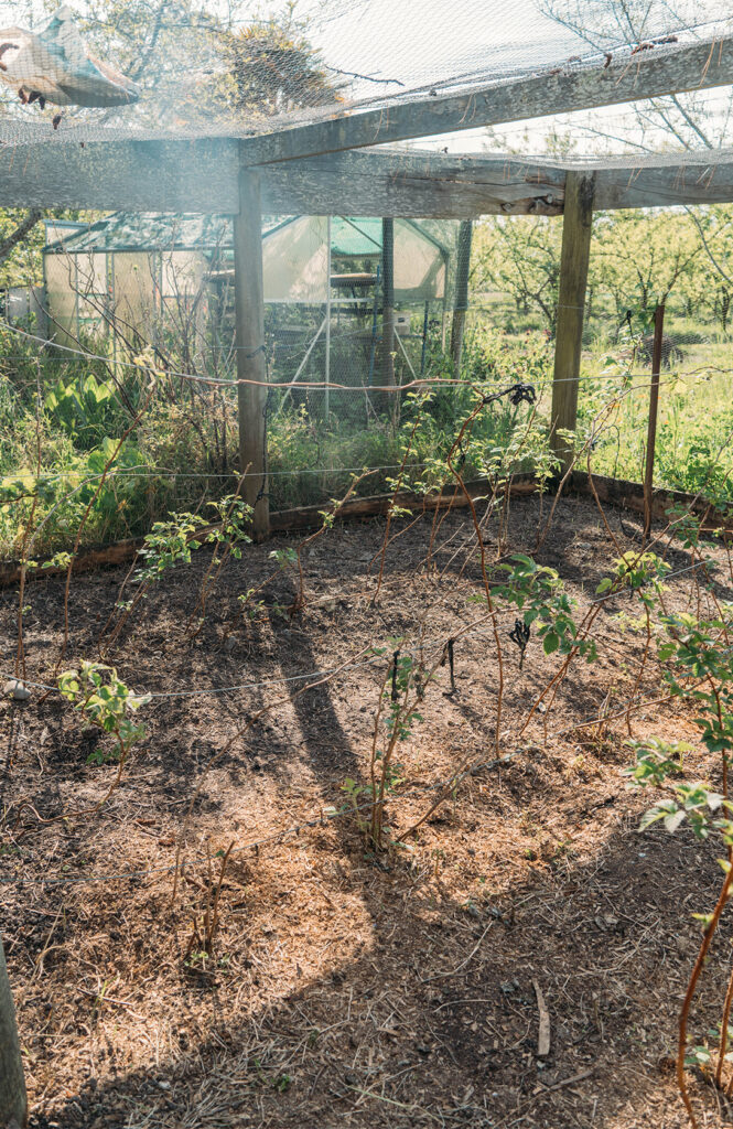 Le travail dans les jardins et les "à côtés" 2