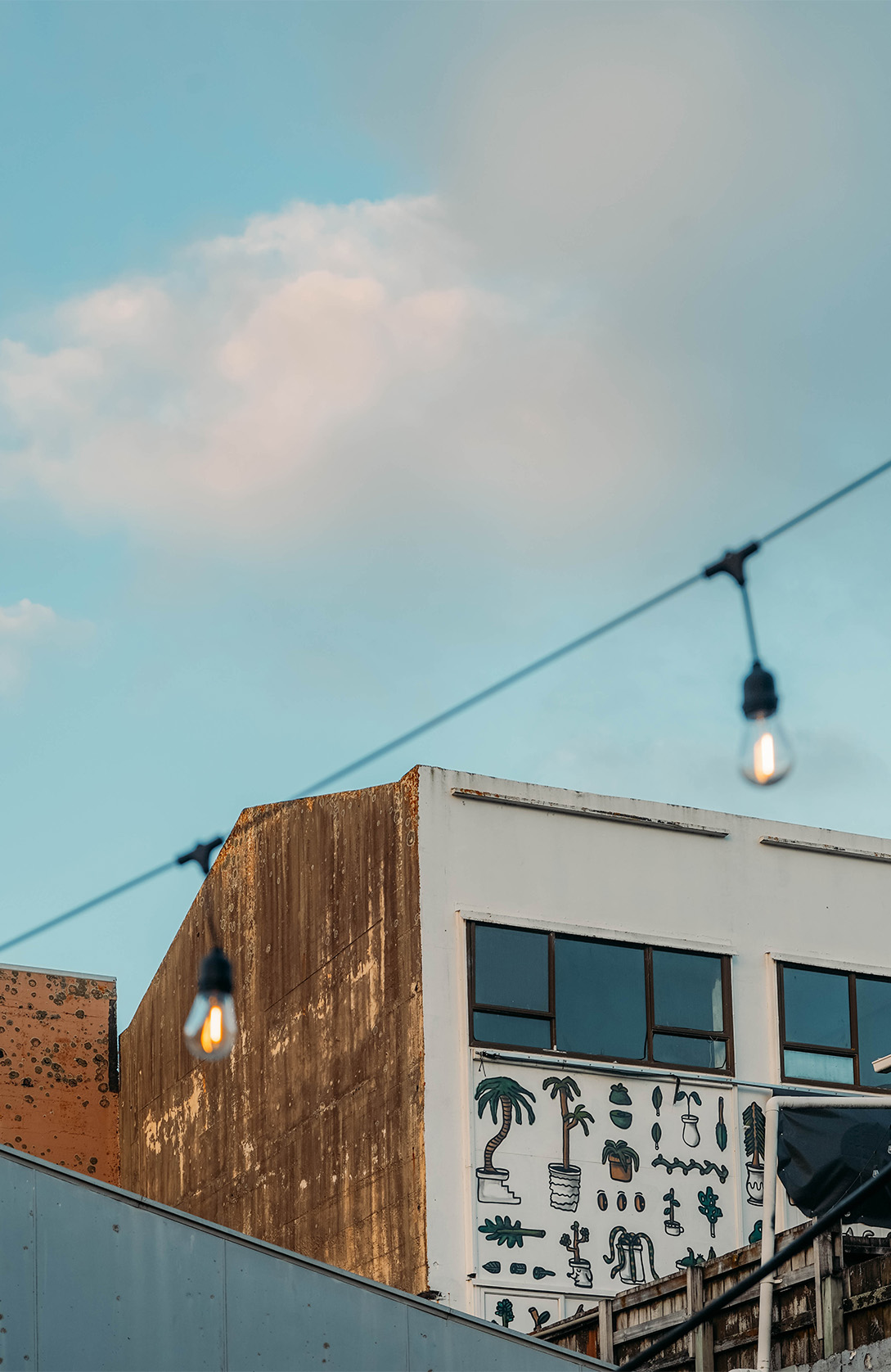 QUE FAIRE DANS LE DISTRICT DE TARANAKI_APAS DE DINO_New Plymouth et Te Rewa Rewa Bridge 1