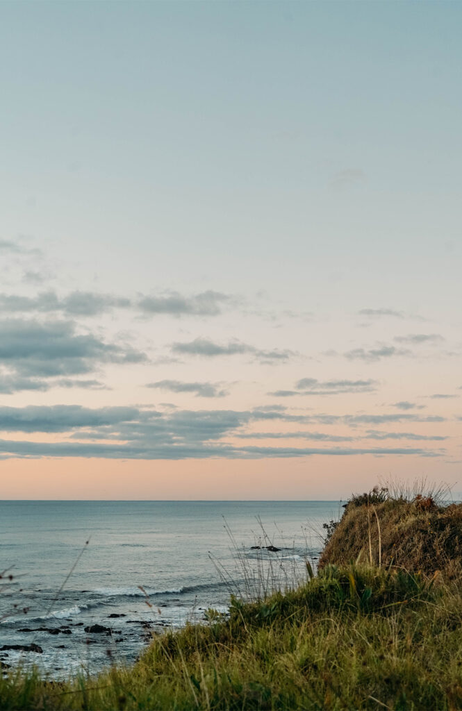 New Plymouth et Te Rewa Rewa Bridge 2