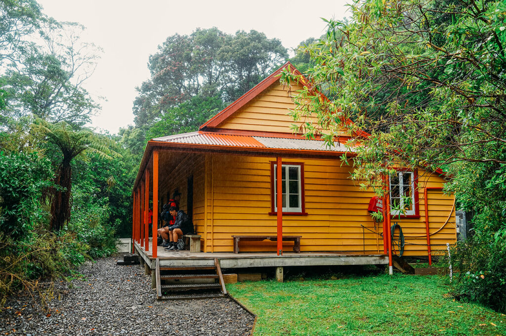 Kapiti Island 4