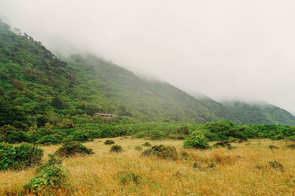 Kapiti Island