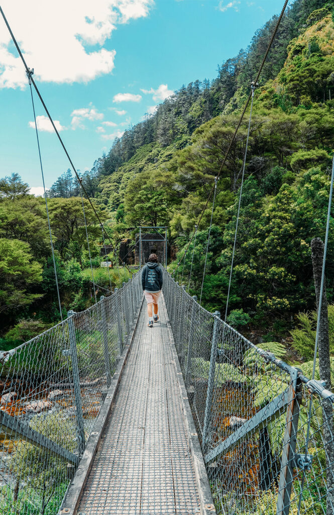 Gorge de Karangahake 1