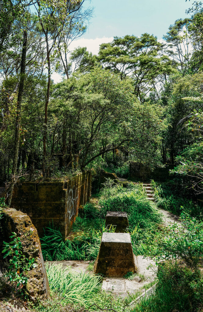 Gorge de Karangahake 3