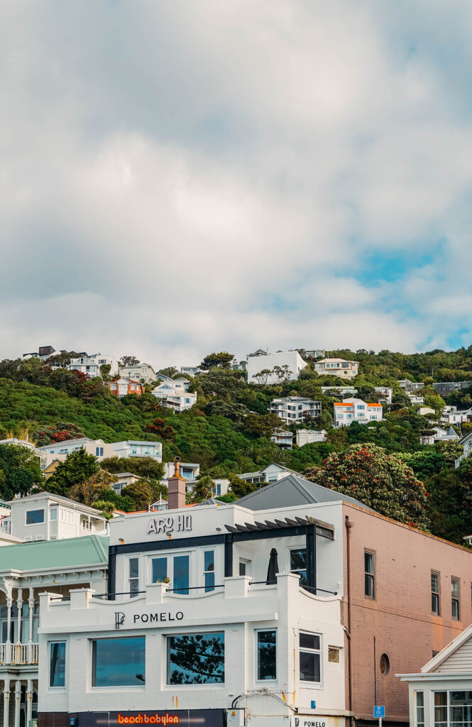 Promenade depuis Franck Kitts à Oriental Bay 1