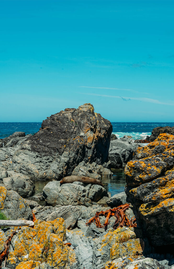 Promenade venteuse aux red rocks 3