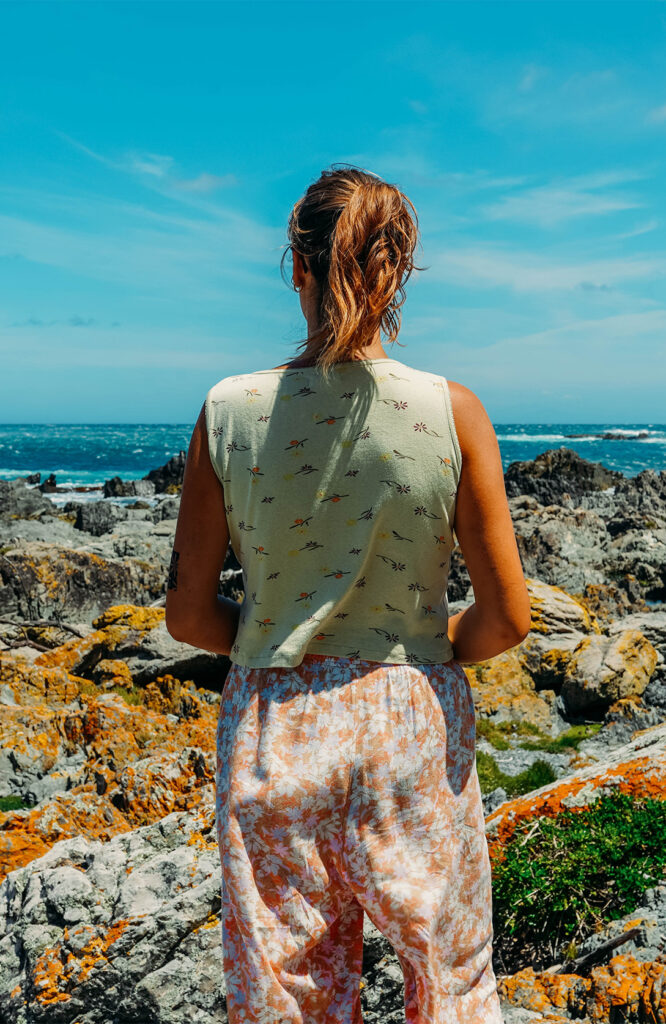 Promenade venteuse aux red rocks 2