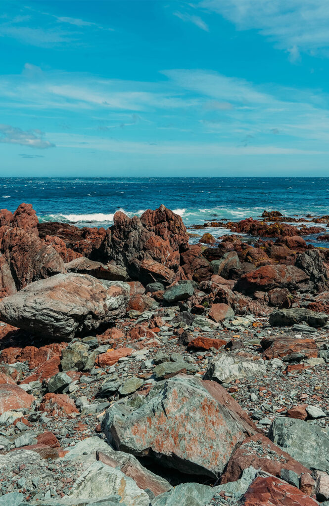 Promenade venteuse aux red rocks 1