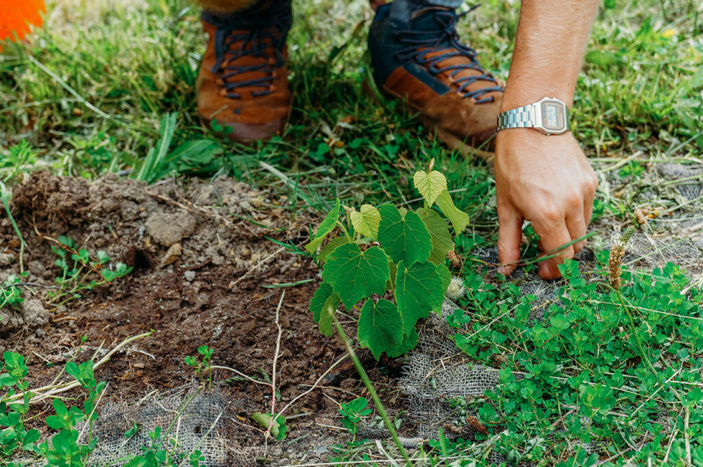 Apprendre la permaculture 1