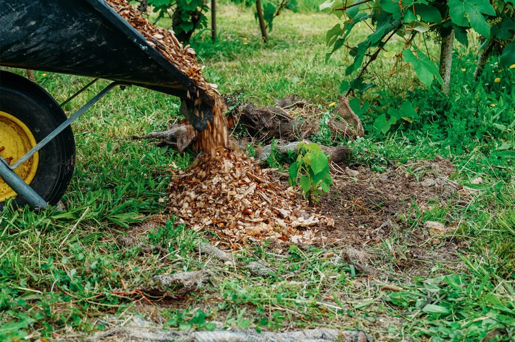 Apprendre la permaculture 2