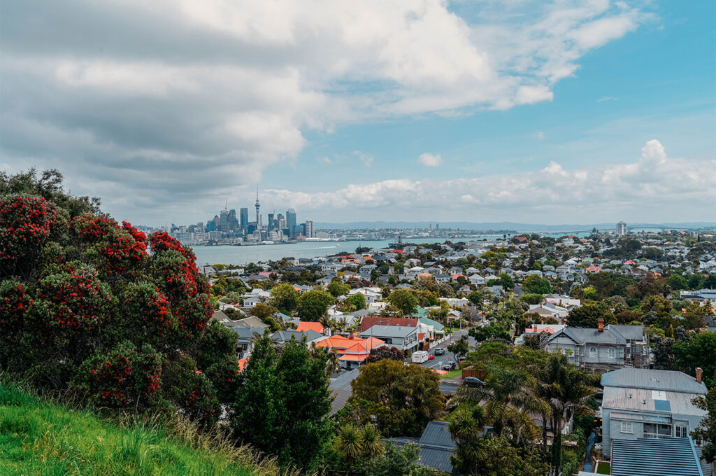 Le mont Victoria_Auckland