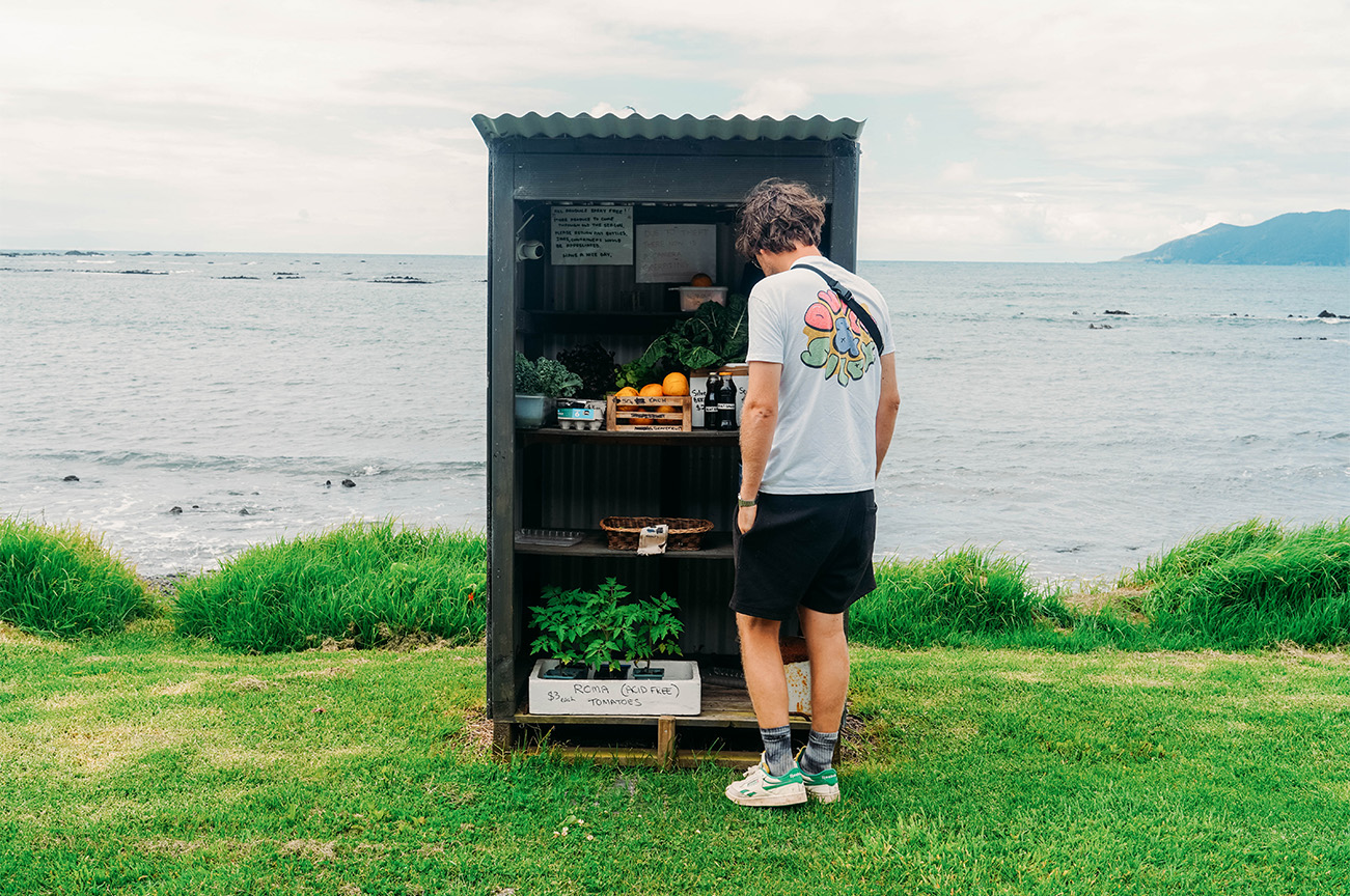 Où faire vos courses en Nouvelle-Zélande ? _Honesty Box : un concept basé sur la confiance !