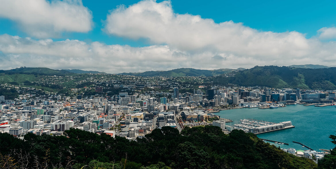 EP. 12_Wellington, dernier step dans l’île du nord pour les fêtes