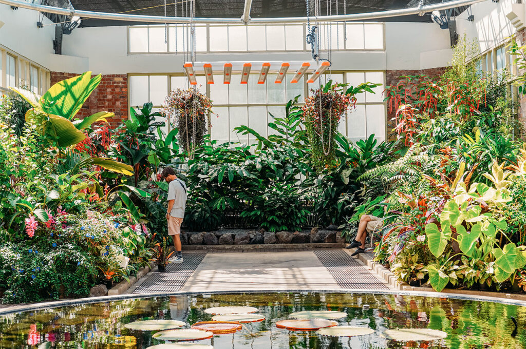 Auckland Domain et Wintergarden 1