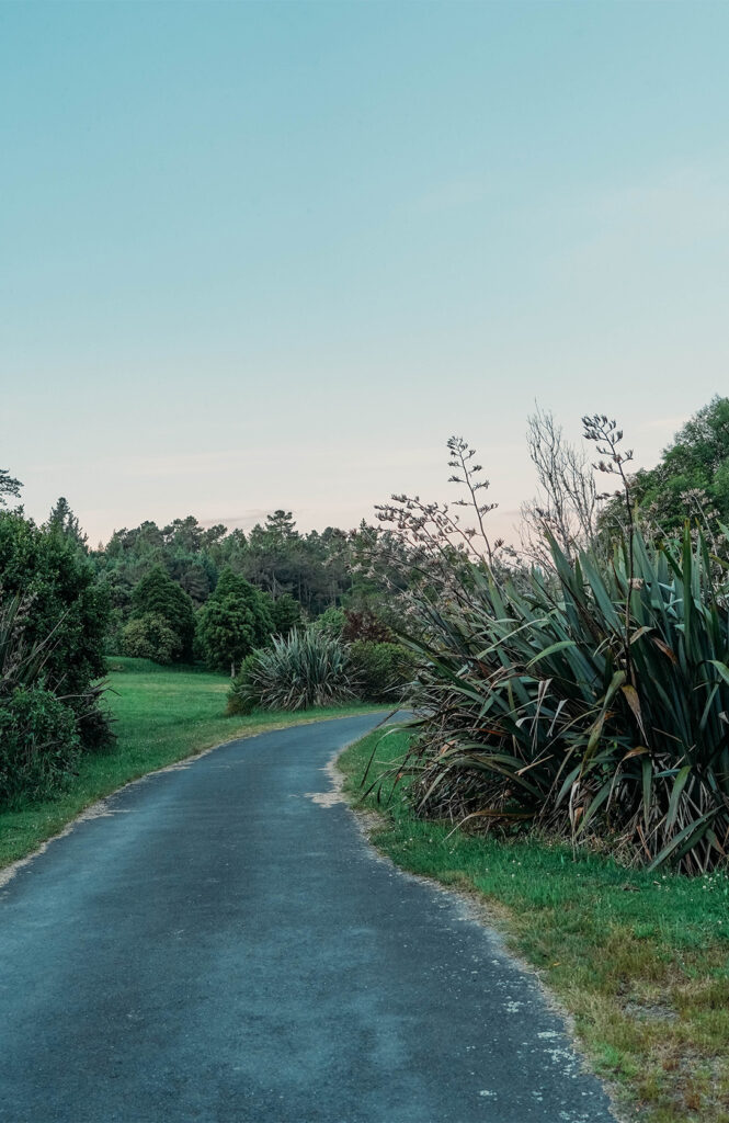 Atua recreational reserve 2