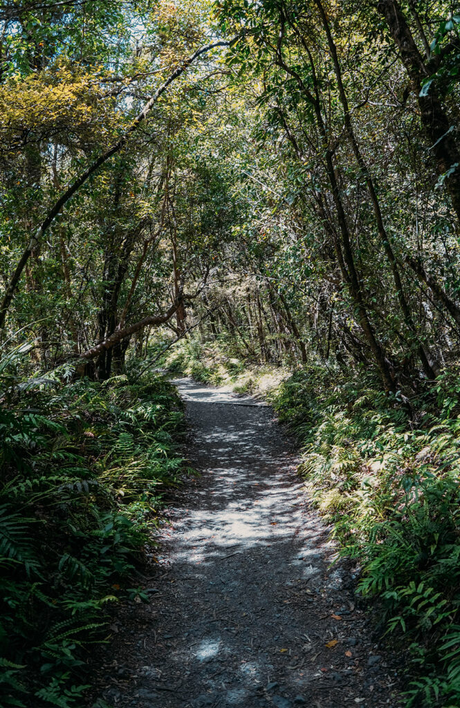 Ketetahi track & falls 1