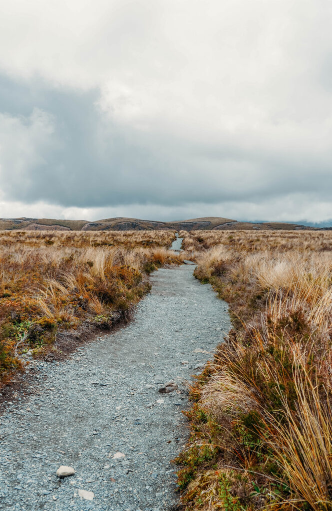 Taranaki Falls et Tama Lakes Track 1