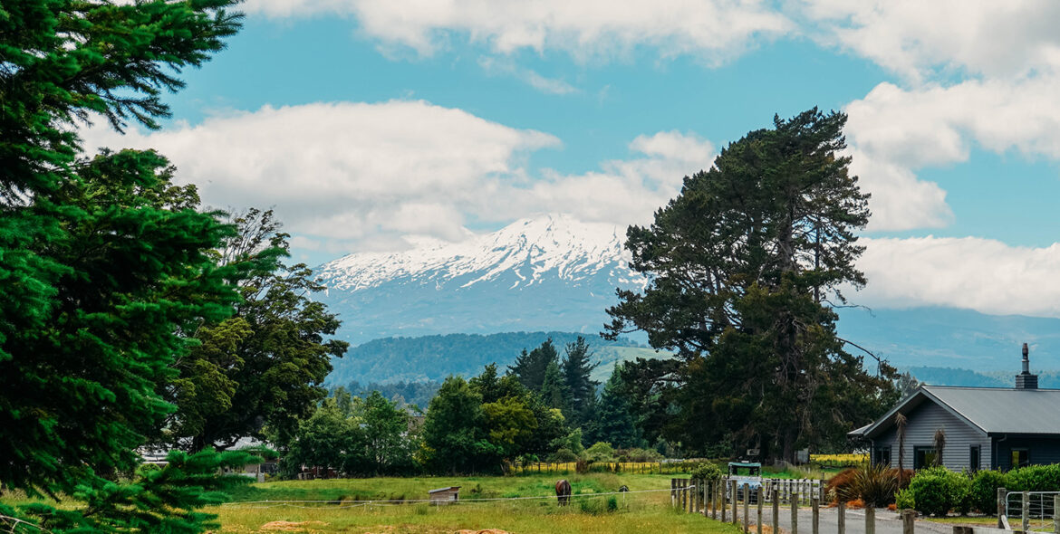 EP. 11_Notre passage dans la région de Manawatu, Wanganui et Wairarapa