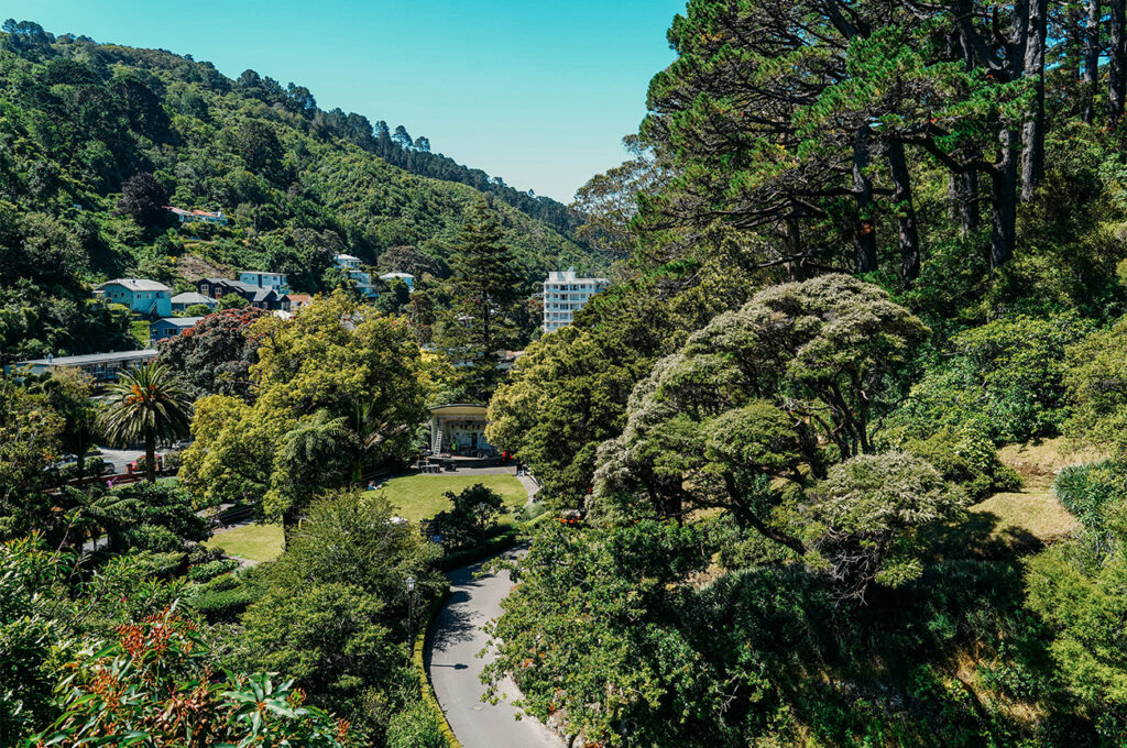 Le labyrinthe des jardins botaniques