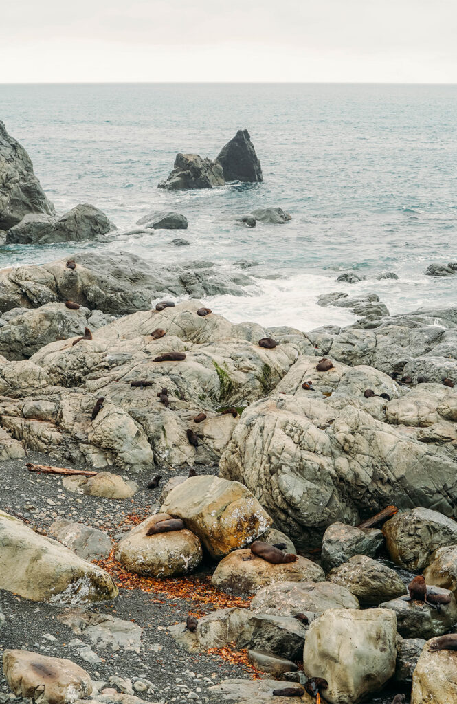 Ohau Point Lookout 1